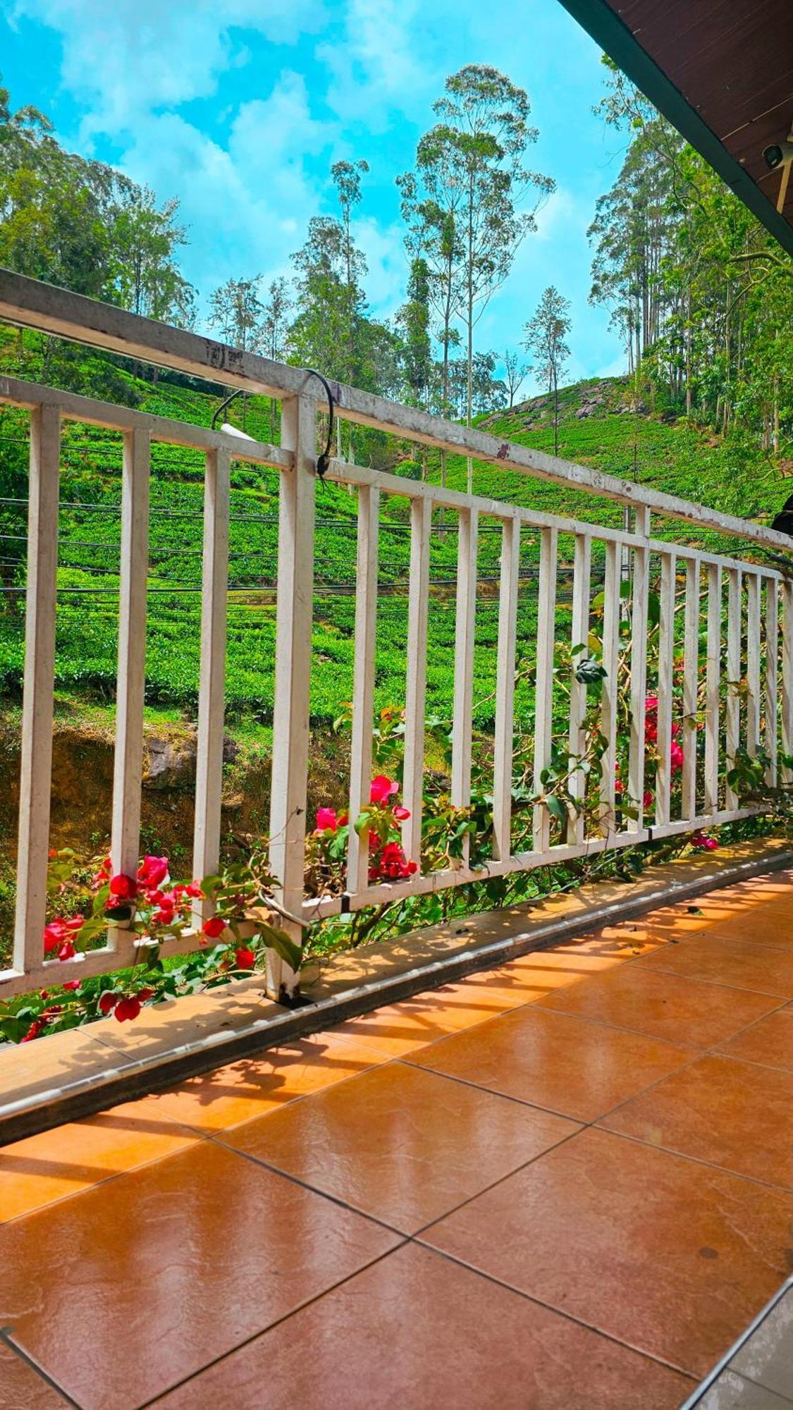 فندق Adams Peak Grand نالاثانيا المظهر الخارجي الصورة